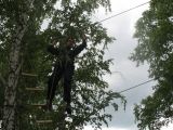 Изображение 392