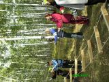 IMG_0194